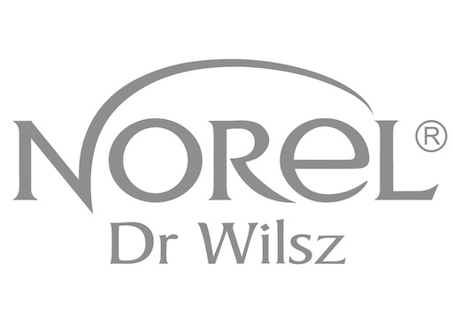 Logo Norel